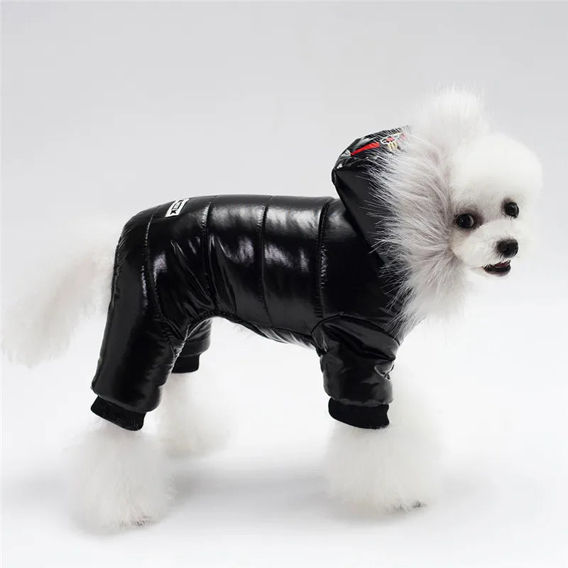 Cotton Winter Dog Coat – Star & Grid Patterns