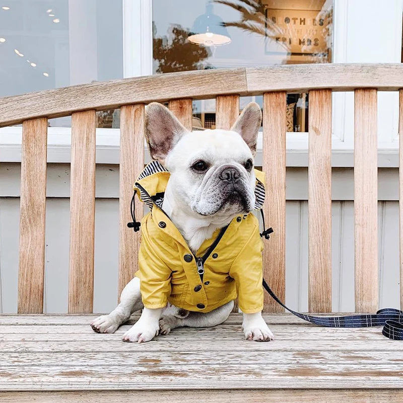 Waterproof Dog Raincoat with Removable Hoodie & Harness Opening