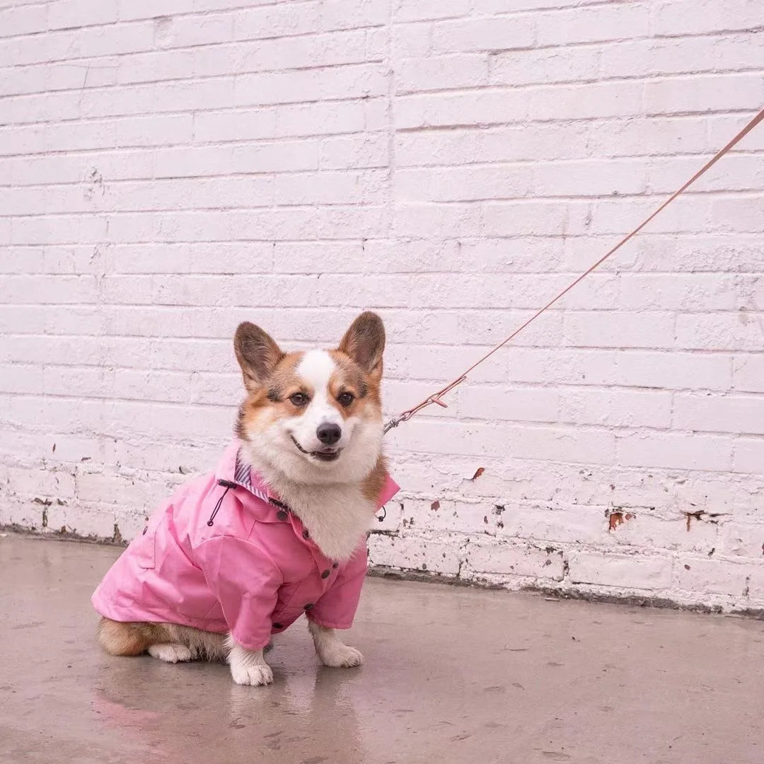Waterproof Dog Raincoat with Removable Hoodie & Harness Opening