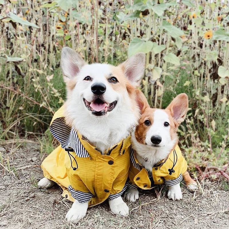 Waterproof Dog Raincoat with Removable Hoodie & Harness Opening