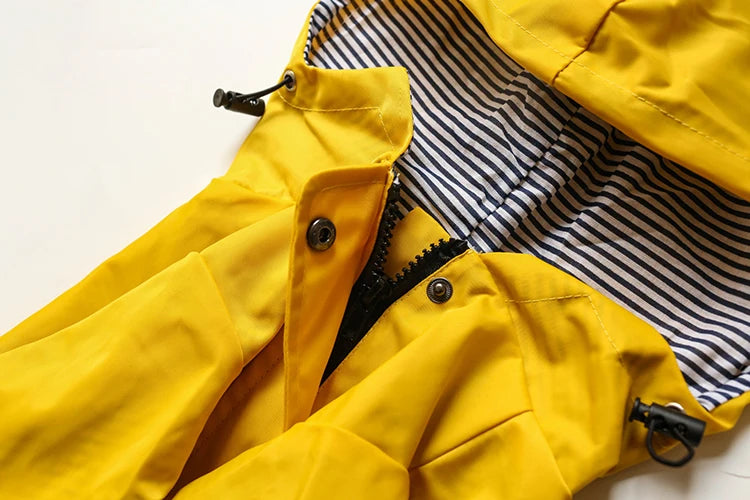 Windproof Waterproof Sport Hoodie Jacket for Dogs
