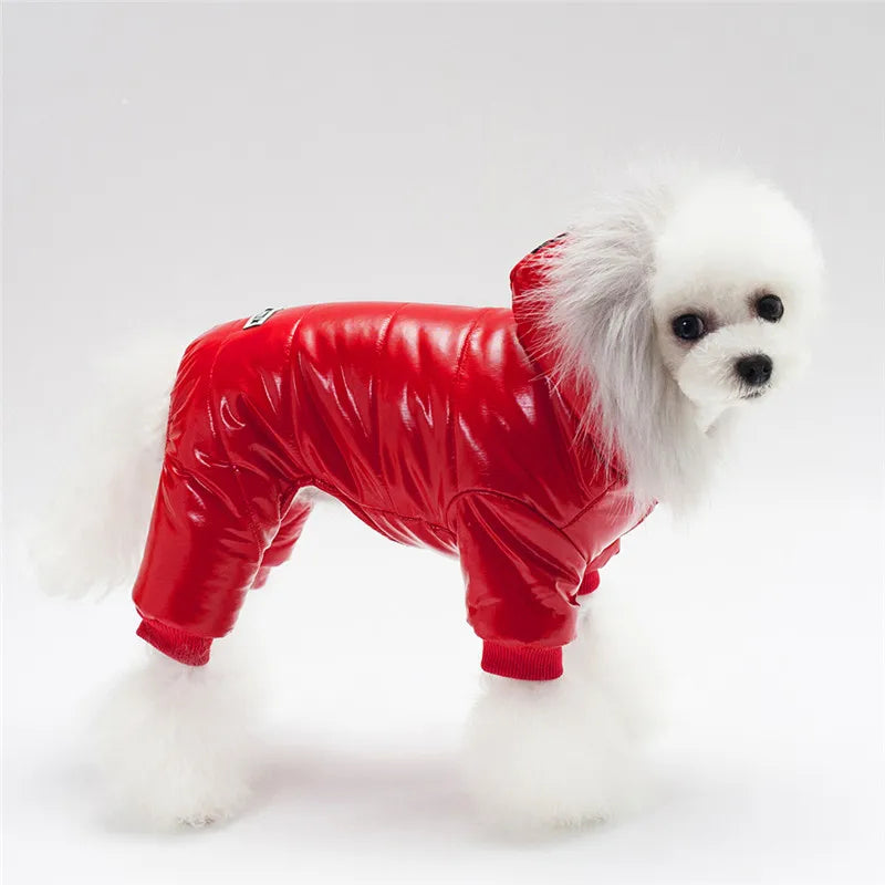 Cotton Winter Dog Coat – Star & Grid Patterns