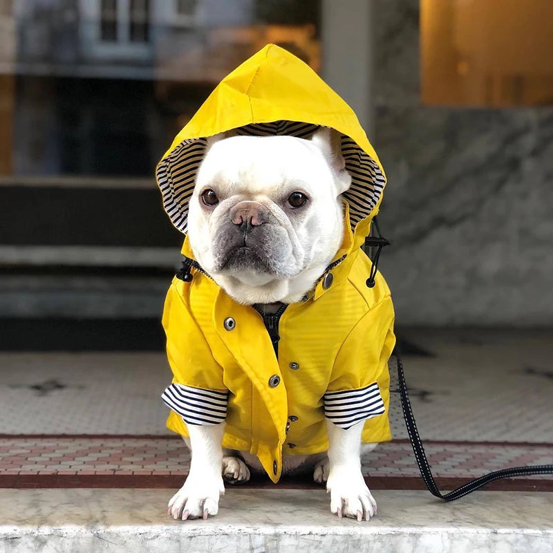 Windproof Waterproof Sport Hoodie Jacket for Dogs