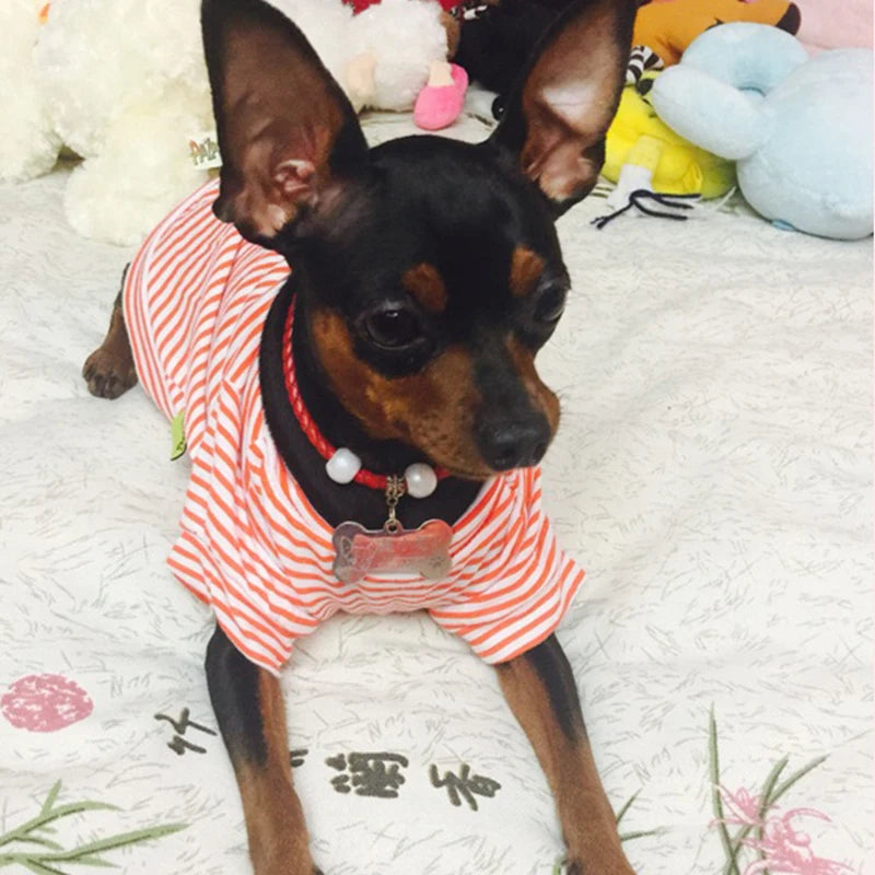 Stripped Pet Shirt