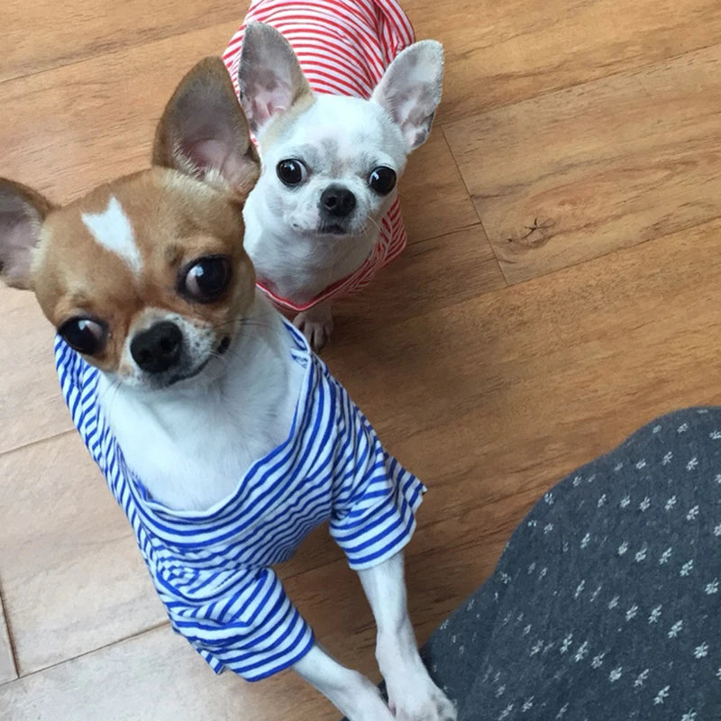 Stripped Pet Shirt
