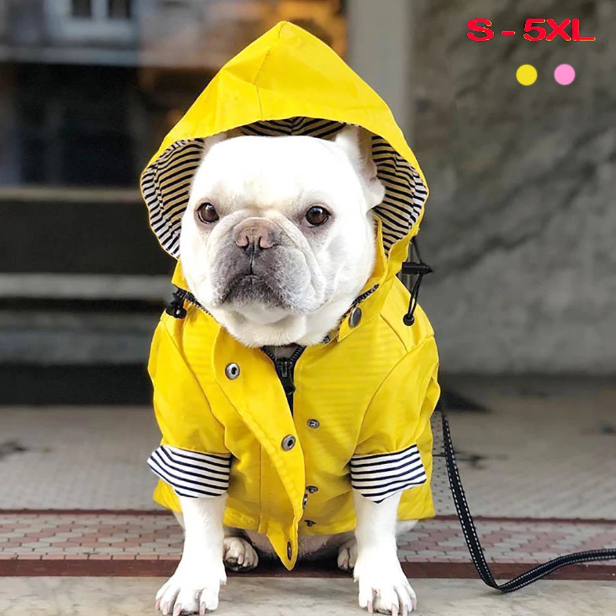 Waterproof Dog Raincoat with Removable Hoodie & Harness Opening