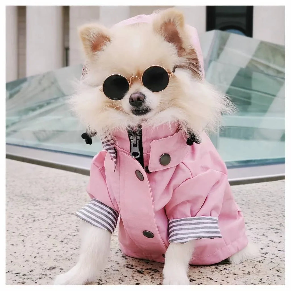 Waterproof Dog Raincoat with Removable Hoodie & Harness Opening