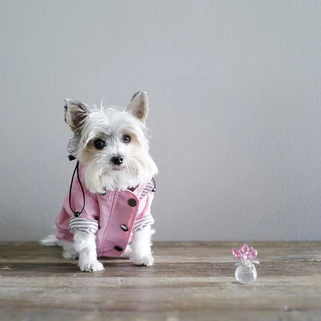 Waterproof Dog Raincoat with Removable Hoodie & Harness Opening