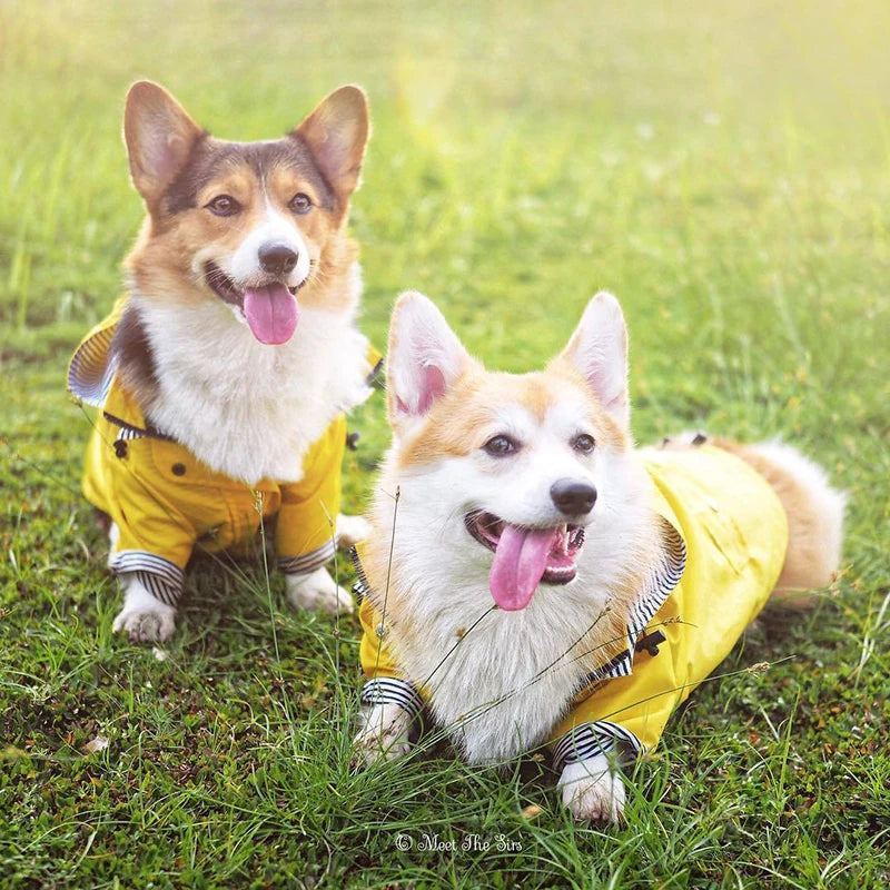 Waterproof Dog Raincoat with Removable Hoodie & Harness Opening