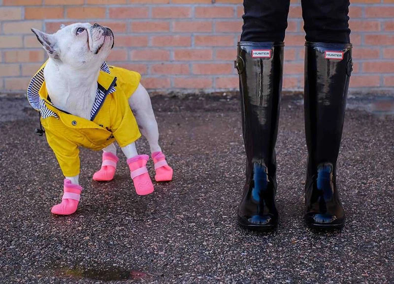 Waterproof Dog Raincoat with Removable Hoodie & Harness Opening