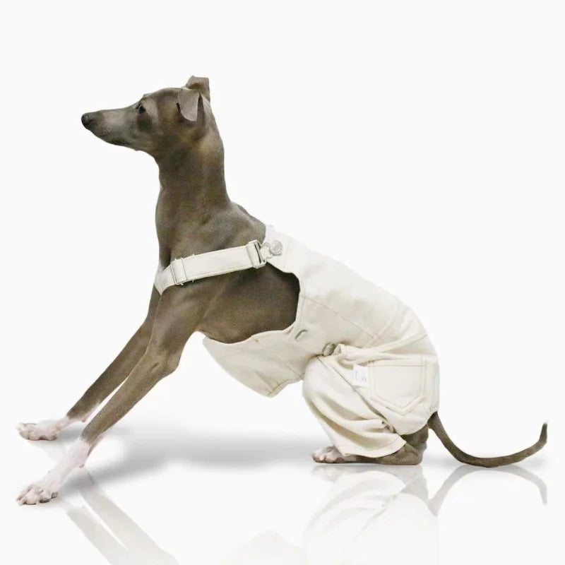 Denim Overalls for Greyhounds & Whippets – Spring, Autumn & Winter