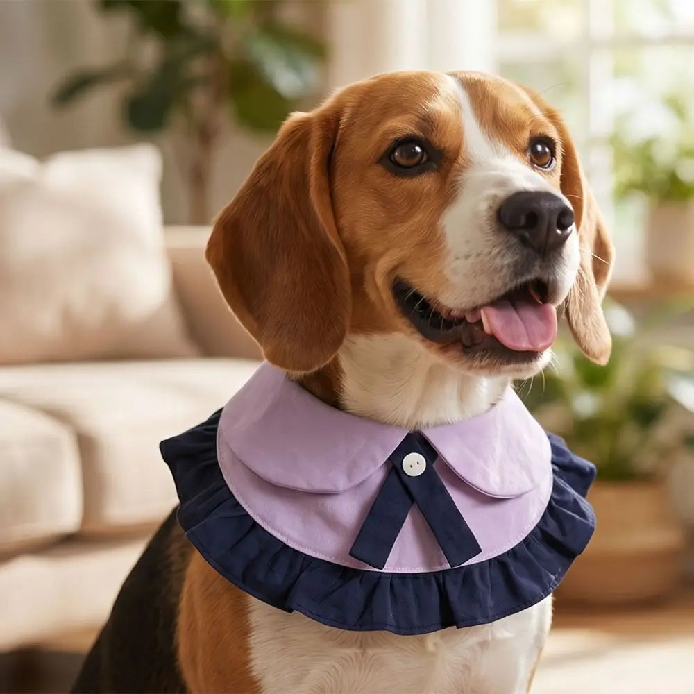 Cute Bow Tie Pet Bib for Dogs & Cats