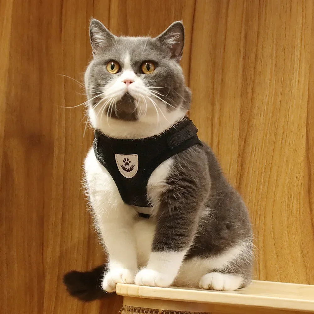 Adjustable Reflective Mesh Vest Harness & Leash Set for Cats & Small Dogs