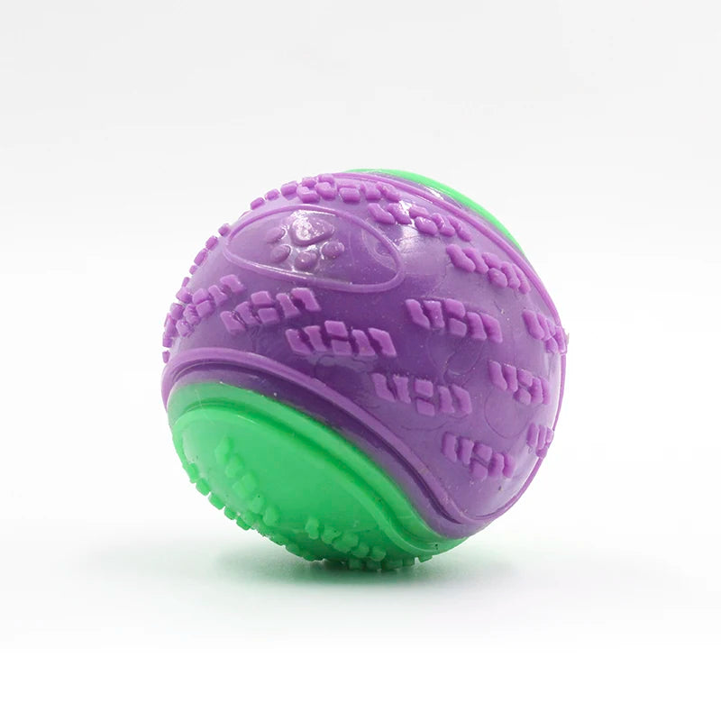 Bounce & Squeak – TPR Squeaky Ball Toy for Dogs