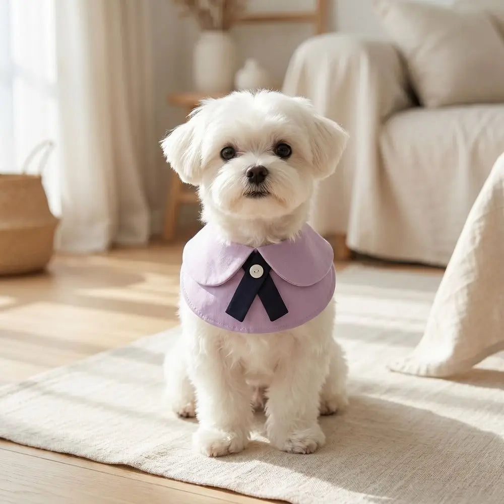 Cute Bow Tie Pet Bib for Dogs & Cats