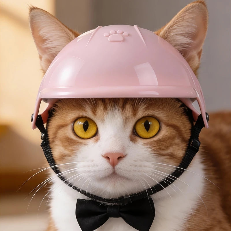Pet Motorcycle Helmet