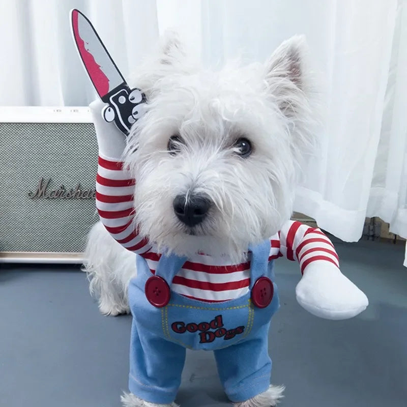 Funny Pet Costumes for Halloween