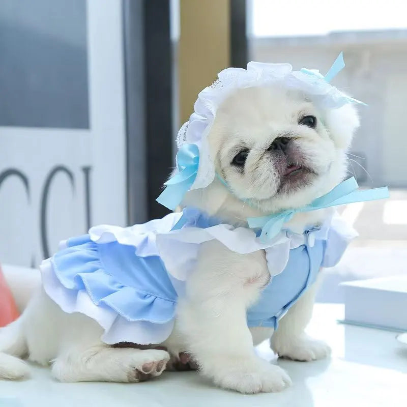 Maid Pet Dress with Leash Hook for Dogs & Cats