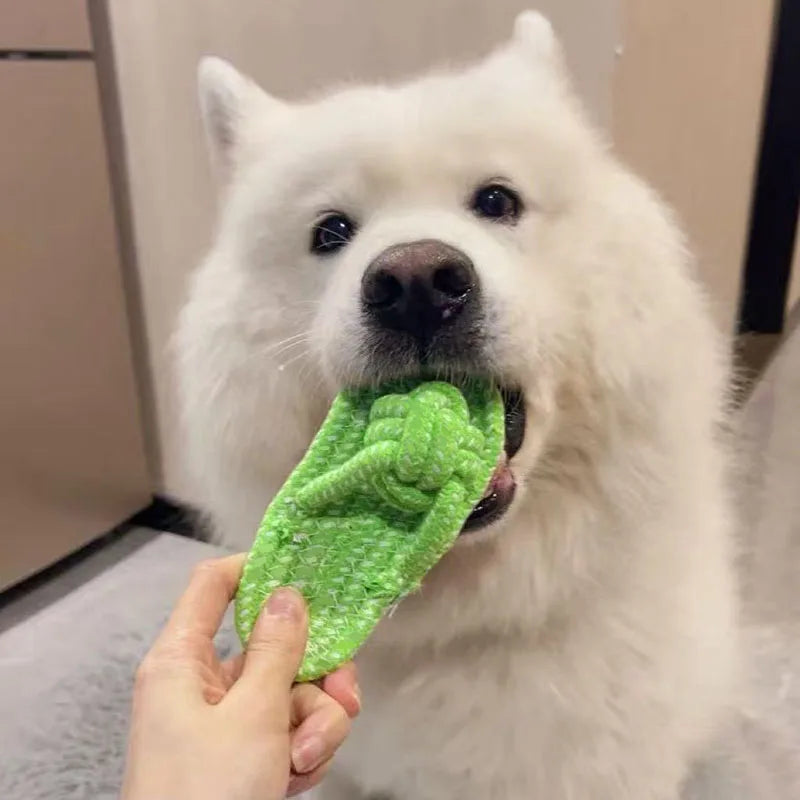 Chew Shoe – Slipper-Shaped Cotton Rope Chew Toy for Dogs