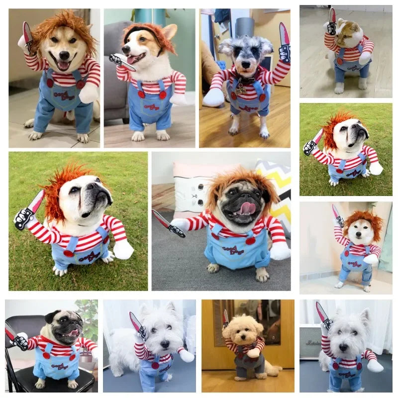 Funny Pet Costumes for Halloween