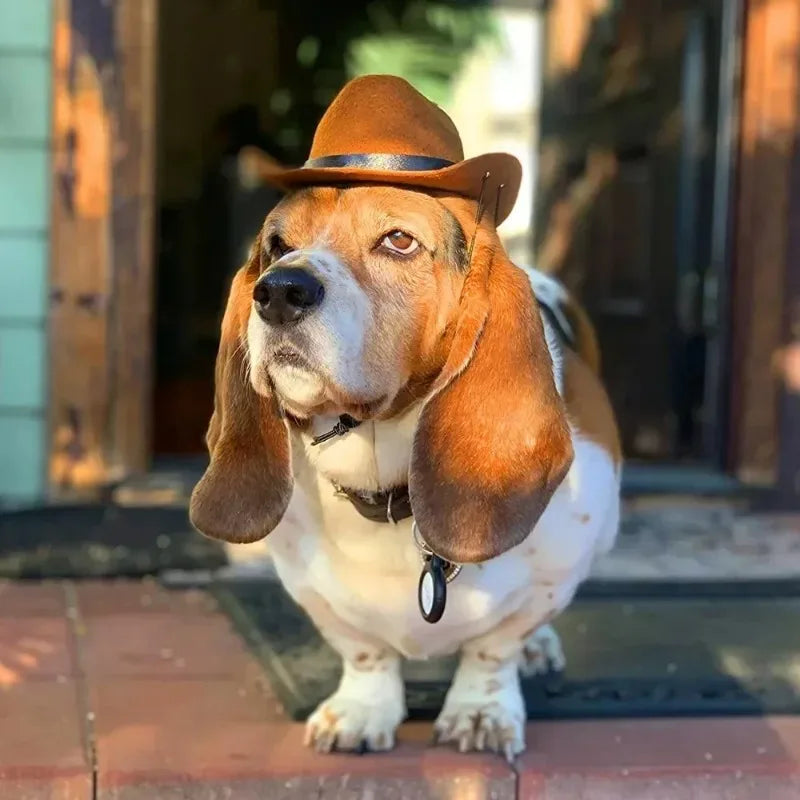 Halloween Costume Western Cowboy Hat For Pets