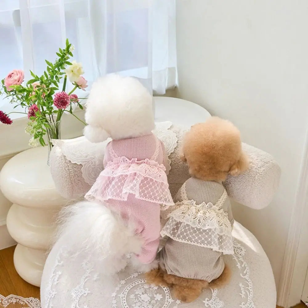 Waffle Lace Camisole Pet Jumpsuit