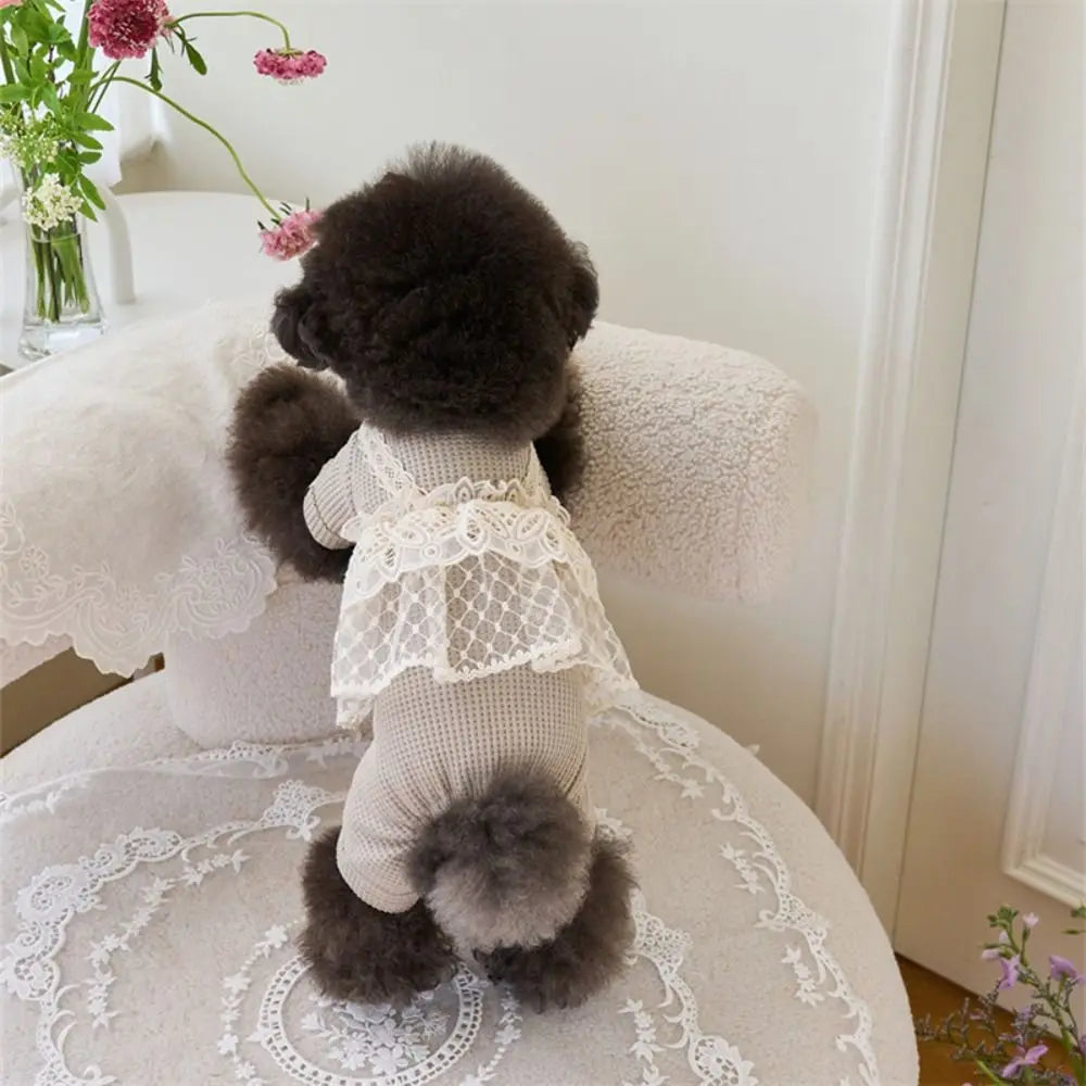 Waffle Lace Camisole Pet Jumpsuit