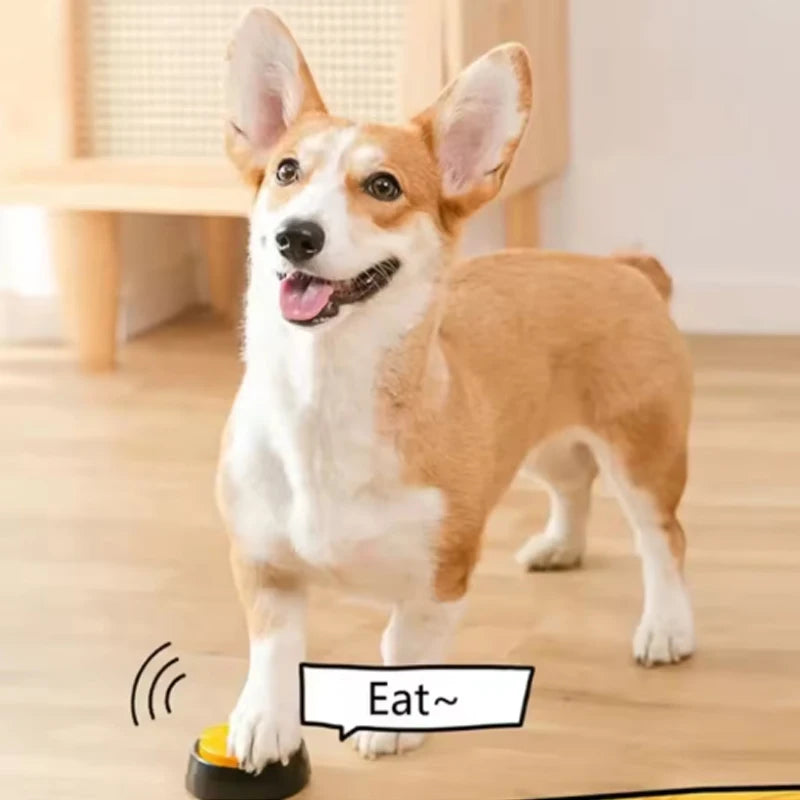 Talk to Me – Recordable Communication Buttons for Dogs