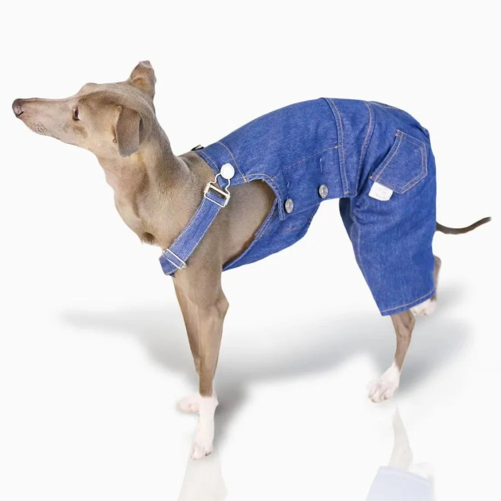 Denim Overalls for Greyhounds & Whippets – Spring, Autumn & Winter