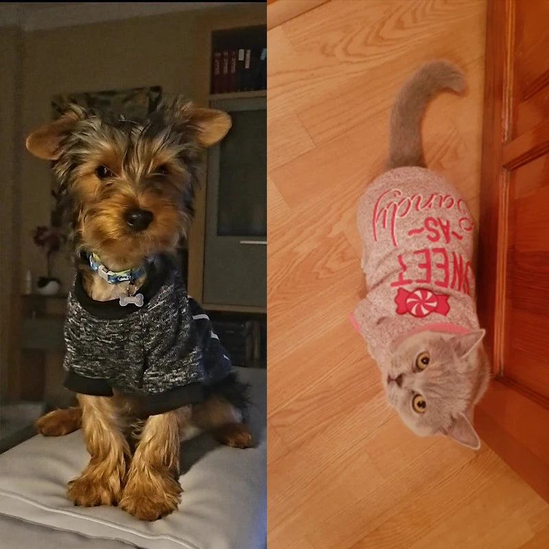 Luxury Dog T- Shirts for Small Breeds