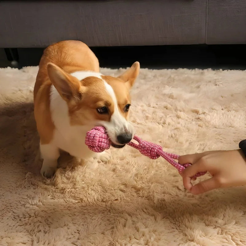 Rope & Roll – Cotton Rope Ball Chew & Dental Toy for Dogs