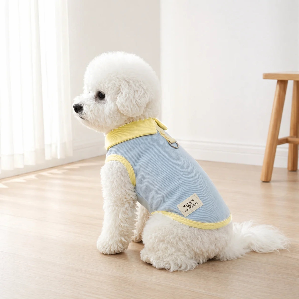 Spring Dresses for Pets