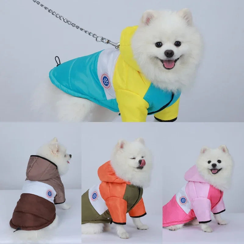 Fashionable Winter Pet Coat