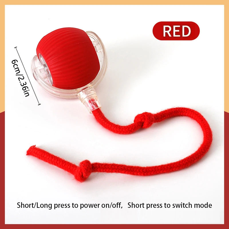 USB Rechargeable Smart Bouncing Ball for Dogs & Cats