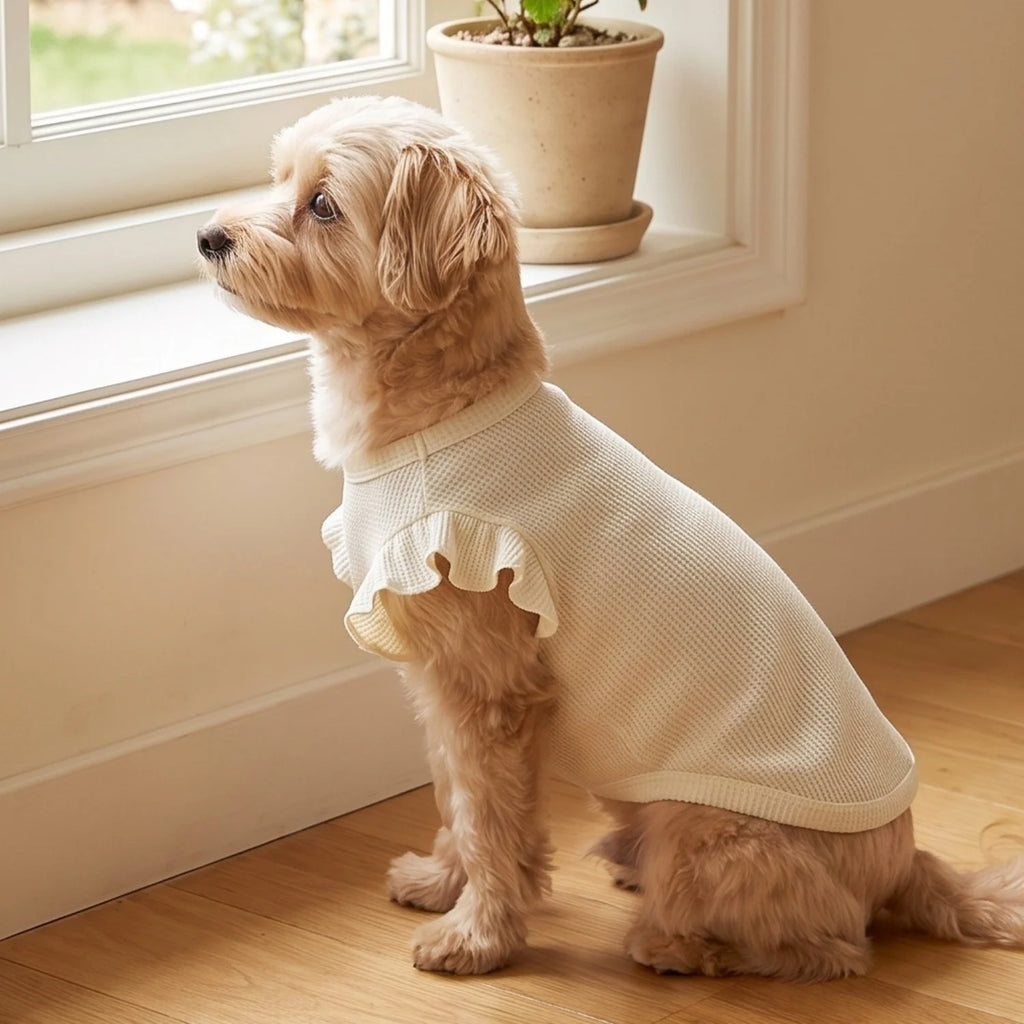 Cute Waffle Ruffle Sleeve Pet T-Shirt