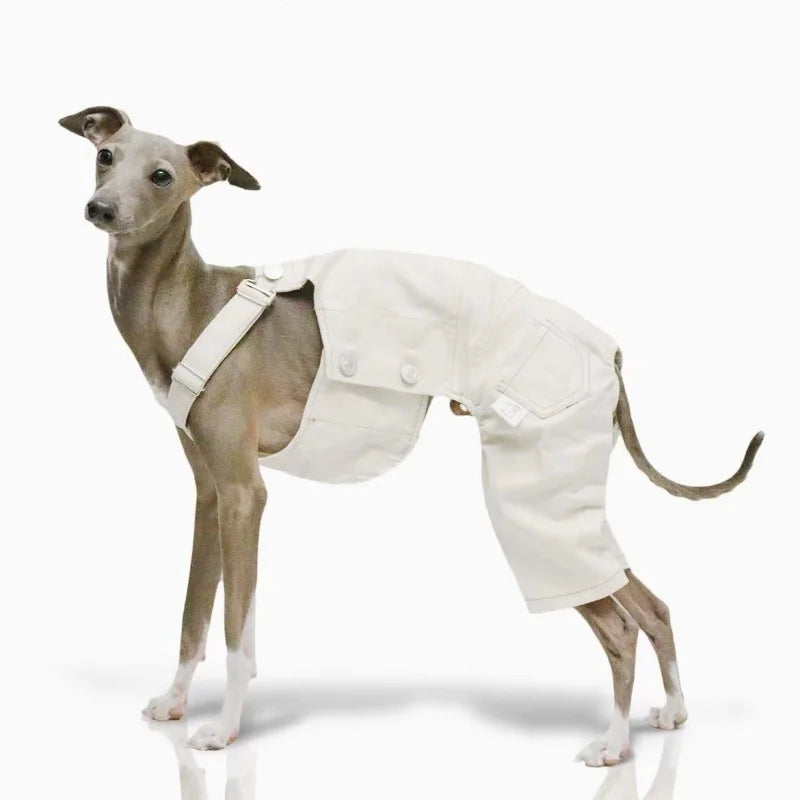 Denim Overalls for Greyhounds & Whippets – Spring, Autumn & Winter