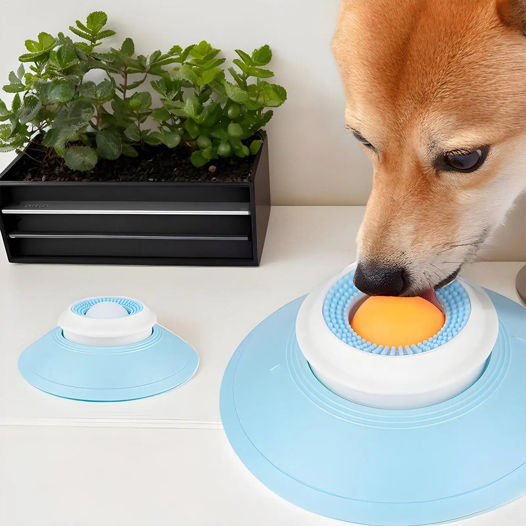 Interactive Feeding Toy