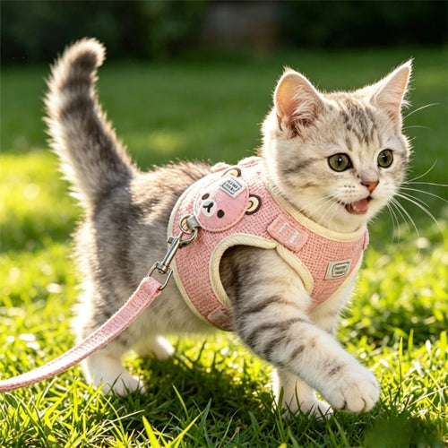 Adjustable Cat/Dog Harness Breathable Leash Convenient Pet Vest For Small Dogs Or Cats