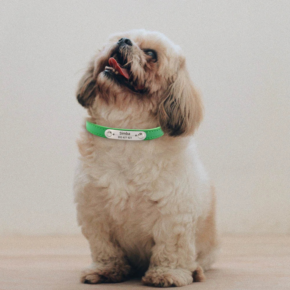 Personalized Leather ID Collar For Dogs & Cats
