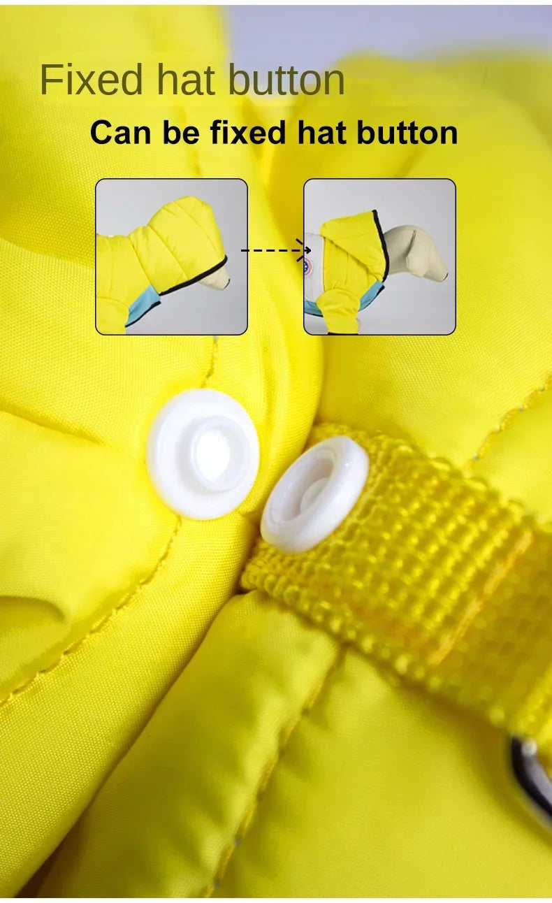 Fashionable Winter Pet Coat