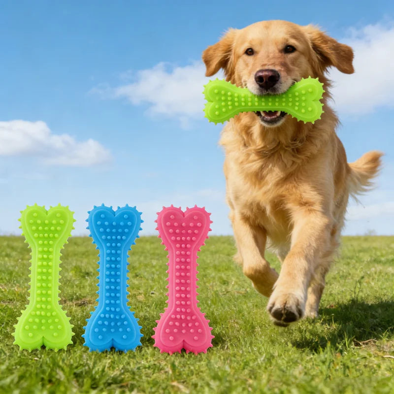 Tough Love – Durable Rubber Chew Toy for Dogs & Puppies
