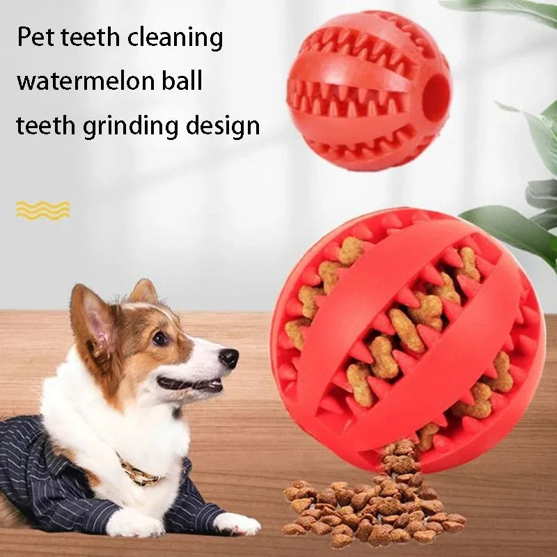 Natural Rubber Teeth Cleaning Treat Ball for Dogs
