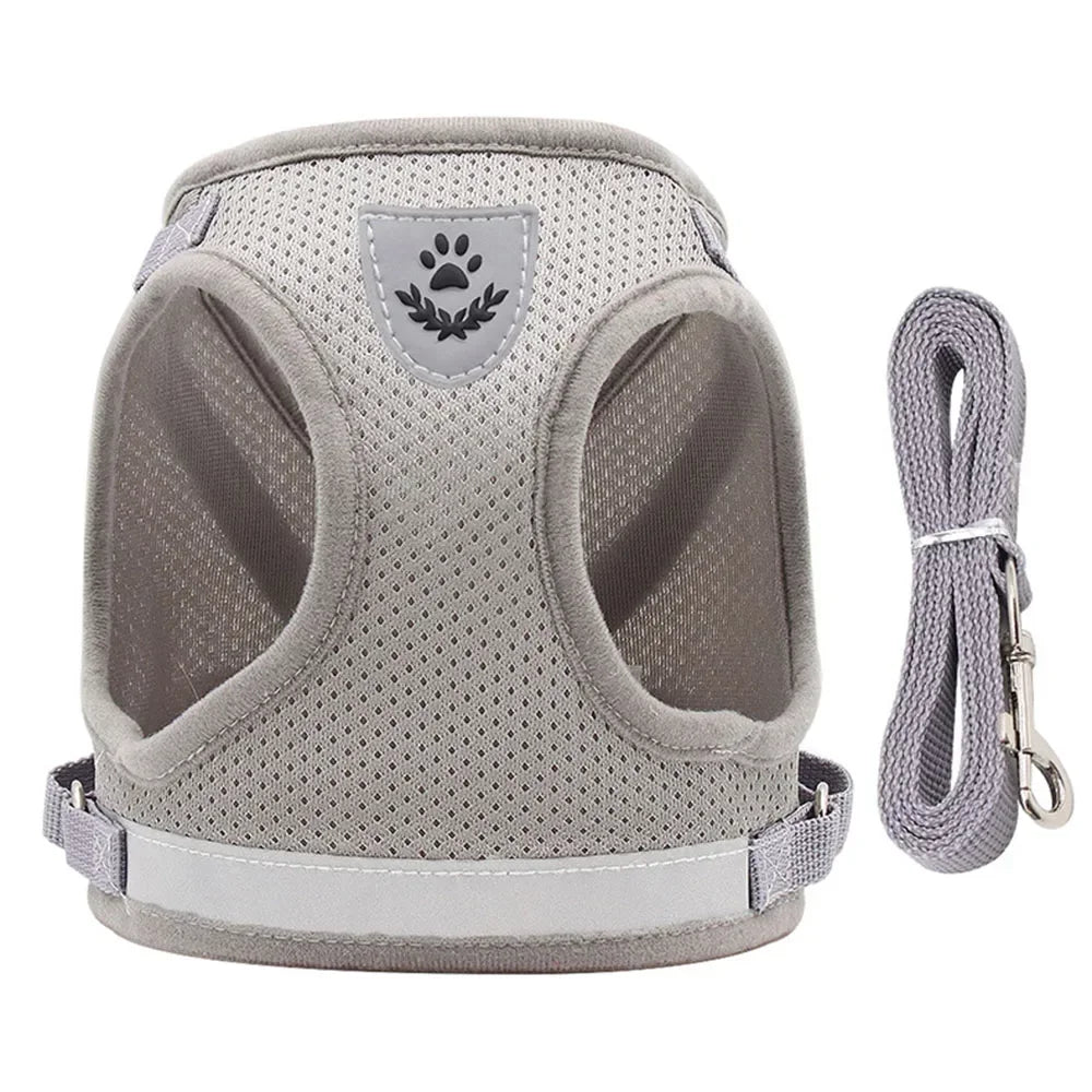 Adjustable Reflective Mesh Vest Harness & Leash Set for Cats & Small Dogs