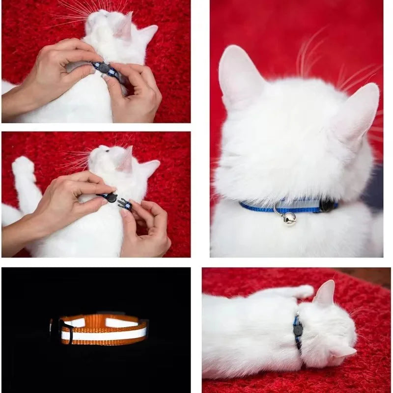 Reflective Breakaway Cat & Dog Collar with Bell