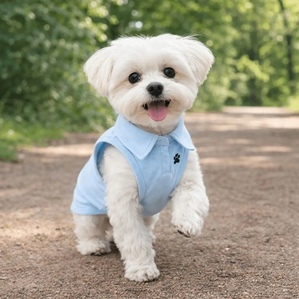 Adorable Spring and Summer Dog Shirt