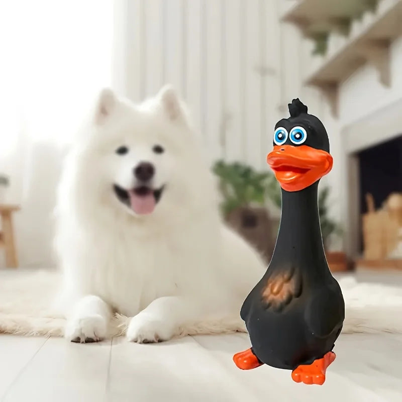 Squeaky Pet Toy