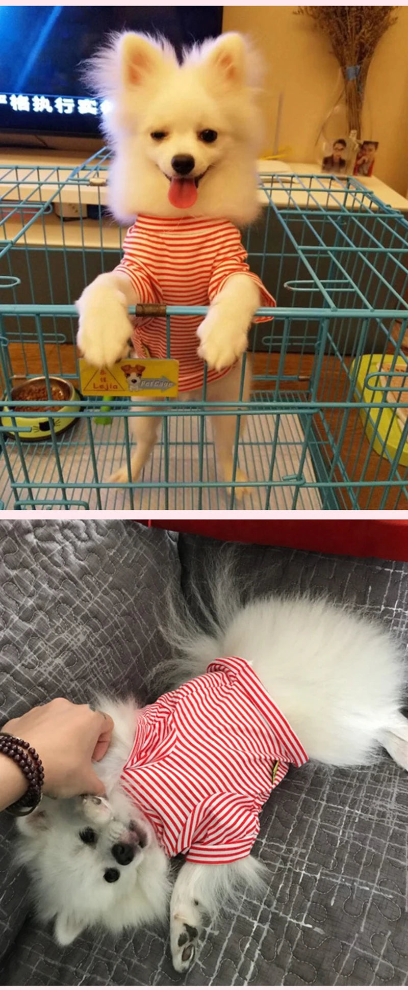 Stripped Pet Shirt