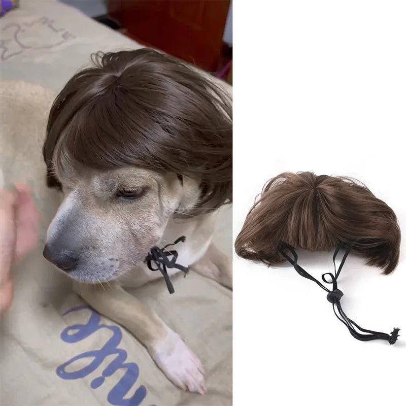 Pet Cosplay Wig & Hair Set for Dogs & Cats