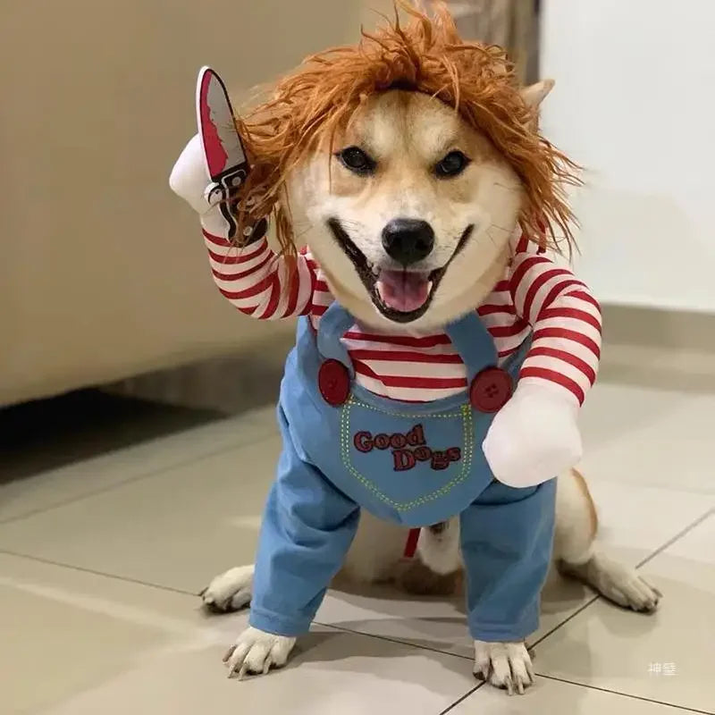Funny Pet Costumes for Halloween