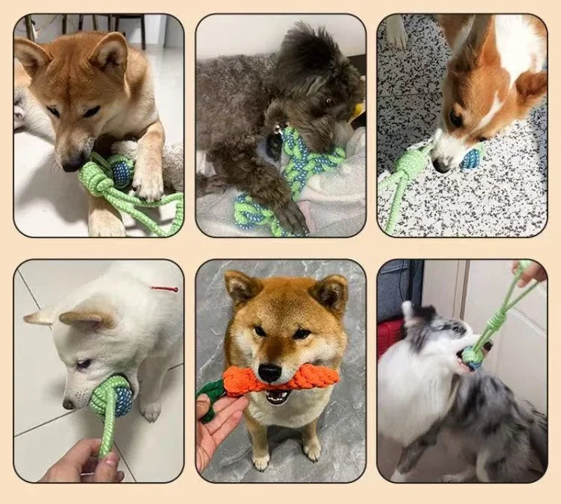 Rope & Roll – Cotton Rope Ball Chew & Dental Toy for Dogs